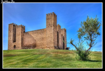 El Castillo de Sádaba es de estilo bajomedieval con decoraciones cistercienses del siglo XIII. No muestra elementos defensivos, como la torre del homenaje o el foso o la barrera; las saeteras y los vanos son escasos y no posee matacanes. Como propias defensas tiene el grosor de sus muros, con torres cuadradas rematadas en almenas, y los adarves; a parte del acceso en recodo, de influencia árabe.