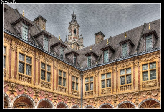 La vieja Bolsa de Lille se encuentra justo enfrente del Teatro de la Ópera. En 1651 la corporación de Lille, pide a Felipe IV rey de España autorización para construir una bolsa para los mercaderes en terrenos públicos de la ciudad. En 1653 se levanta la bolsa por el arquitecto Julien Destrée, eligió un estilo renacentista con detalles barrocos, que se hicieron patentes en toda la fachada. Tanto los techos como las ventanas cuentan con decoraciones clásicas y recargadas, que también fueron incluidas en el balcón principal y la puerta de acceso. En realidad, todo fue erigido en base a 24 viviendas que se unieron mediante una amplia galería, destacada por arcos de piedra. Aún se conserva sobre su puerta principal el escudo español sostenido por los dos leones de Lille. El patio renacentista de la Bolsa, es hoy en día refugio de jugadores de ajedrez que se retan tranquilamente bajo sus arcos, y vendedores de curiosidades y libros antiguos, muy alejados del bullicio de los corredores de bolsa de antaño