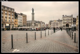 La Gran Plaza de Lille, también llamada Plaza del General De Gaulle, es una plaza icónica que data de los tiempos medievales, está ubicada en pleno centro histórico de Lille Se halla adornada por cuatro figuras femeninas. La primera de ellas, ubicada en el centro, es una diosa que conmemora al asedio de Lille por las tropas austríacas, en el año 1972. Las tres efigies restantes se pueden encontrar coronando el edificio Voix du Nord, en representación de las tres provincias principales de la región: Artois, Flandes y Hainaut. Además de las estatuas mencionados, tenemos la Antigua Bolsa de Valores es un edificio que destaca por su belleza arquitectónica de estilo clásico. Frente a ella se alza el Gran Guardia, que data de 1717. Además, es fácil encontrar bares, cafés, restaurantes para relajarse y pasar un rato agradable.